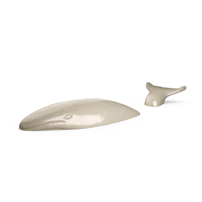 677996f035acfd56bc84b6b6_Whale